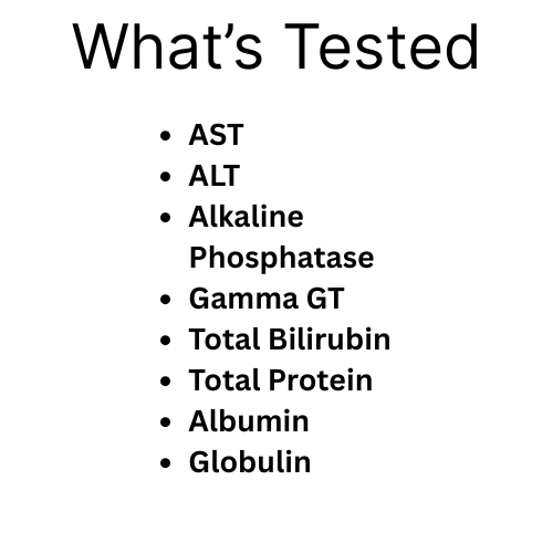 Liver Function Test
