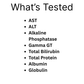 Liver Function Test