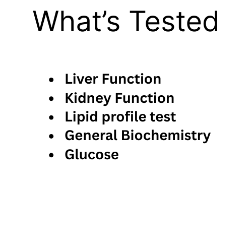 General health check + Free Iron Studies - Valued ($150)