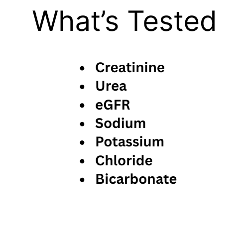 Kidney Function Test