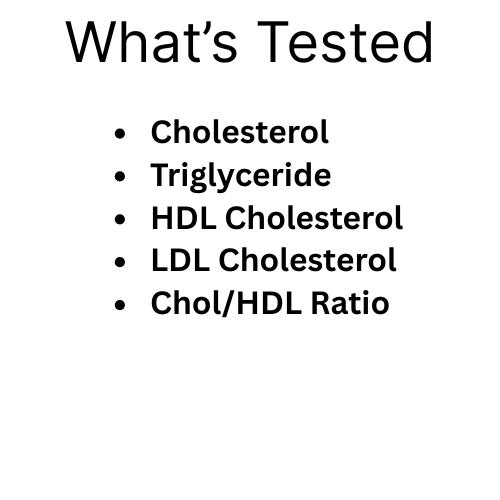 Lipid Profile
